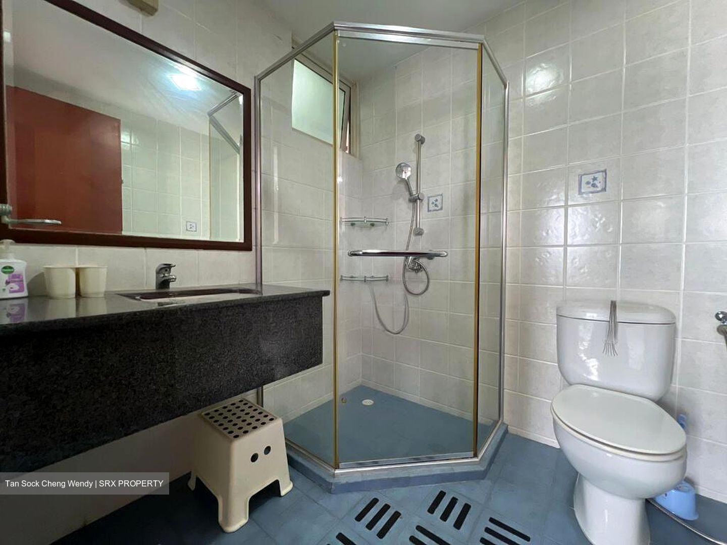 Rivervale Crest (D19), Apartment #502260711